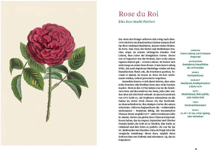 Actual product image Historische Rosen (German, Sofia Blind, Berlin State Library, 2023)