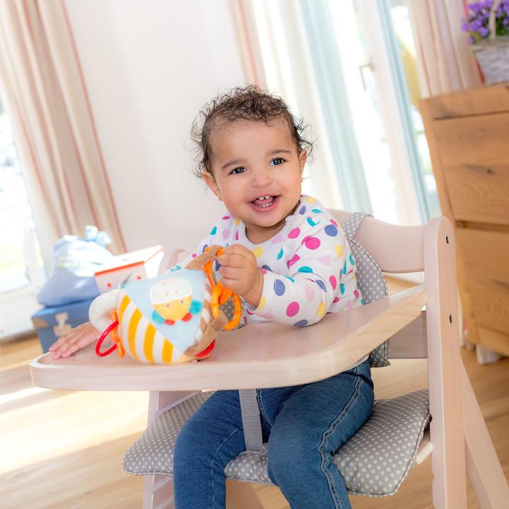Image du produit Hauck Beta+ (Chaise haute)