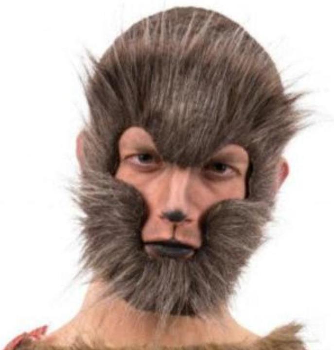 Produktbild Carnival Toys Pelz Vollgesicht graue Wolfsmaske