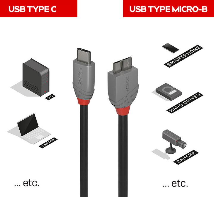 Actual product image Lindy USB 3.2 Type C to Micro-B Cable, Anthra Line (2 m)
