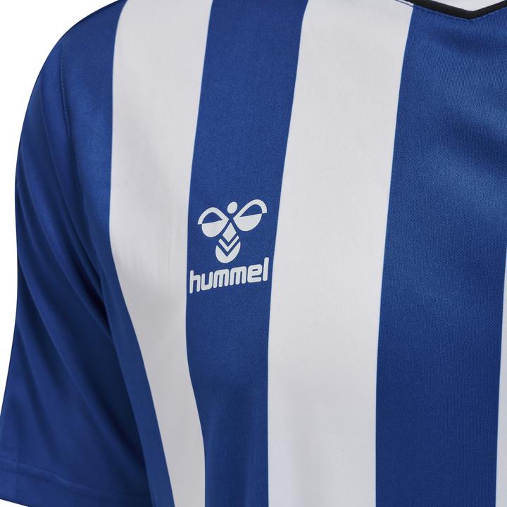 Image du produit hummel Core Xk Striped Jersey S/S (XXL)