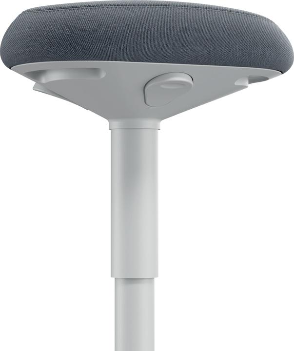 Actual product image Leitz Ergo Active