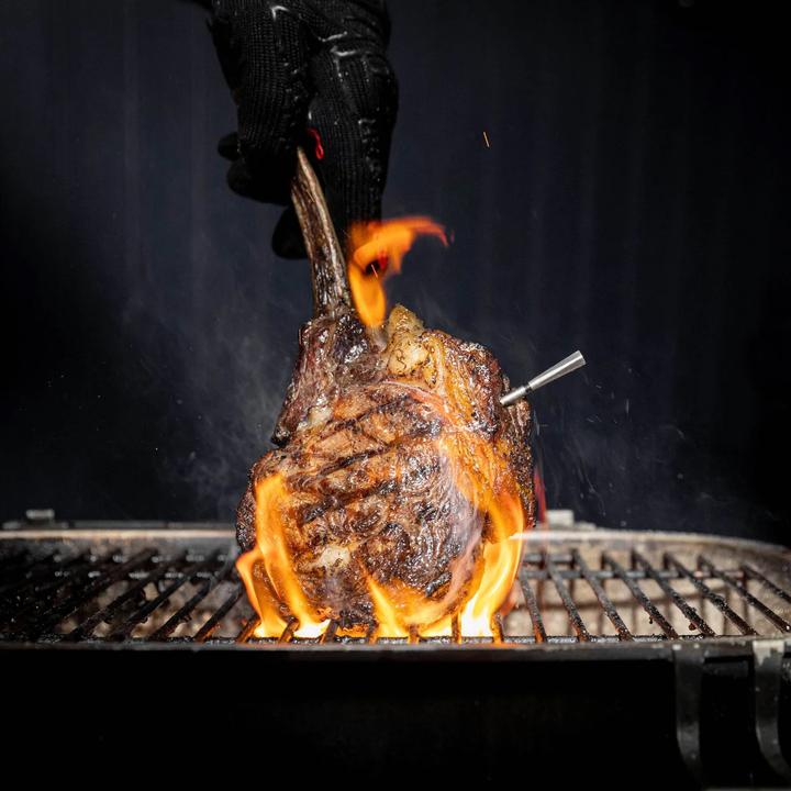 Actual product image Meater Pro