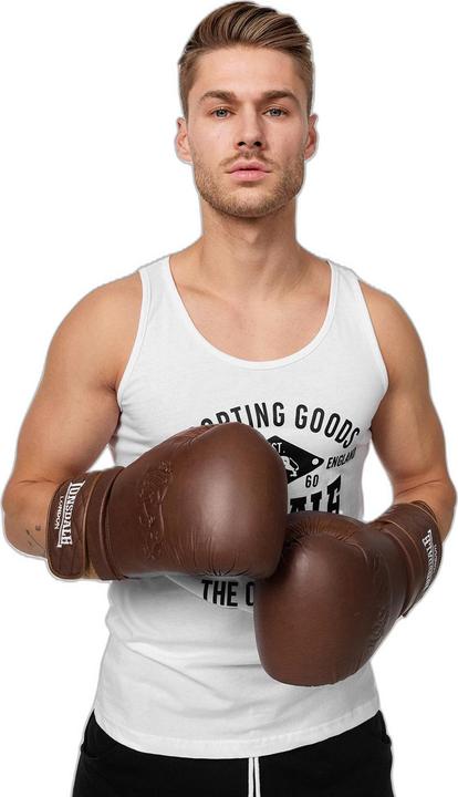 Actual product image Lonsdale boxing gloves vintage spar gloves (14 OZ)