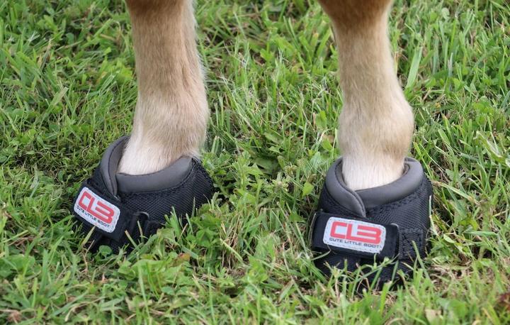 Produktbild Cavallo Hufschuhe Cute Little Boot Slim (Paar)