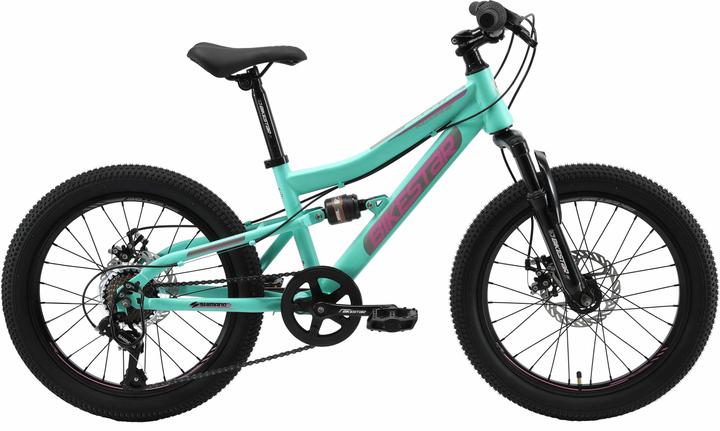Bikestar Fully (20")