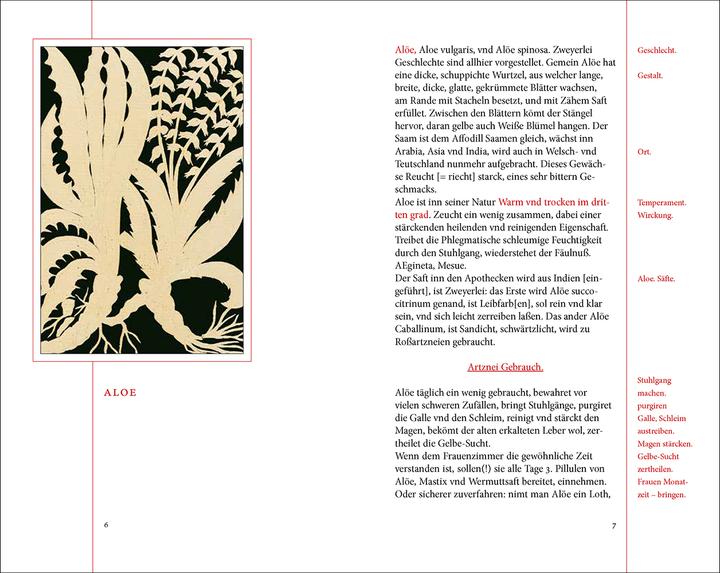 Produktbild Das Kräuterbuch des Johann Christoph Ende (Deutsch, Renate Schipke, 2021)
