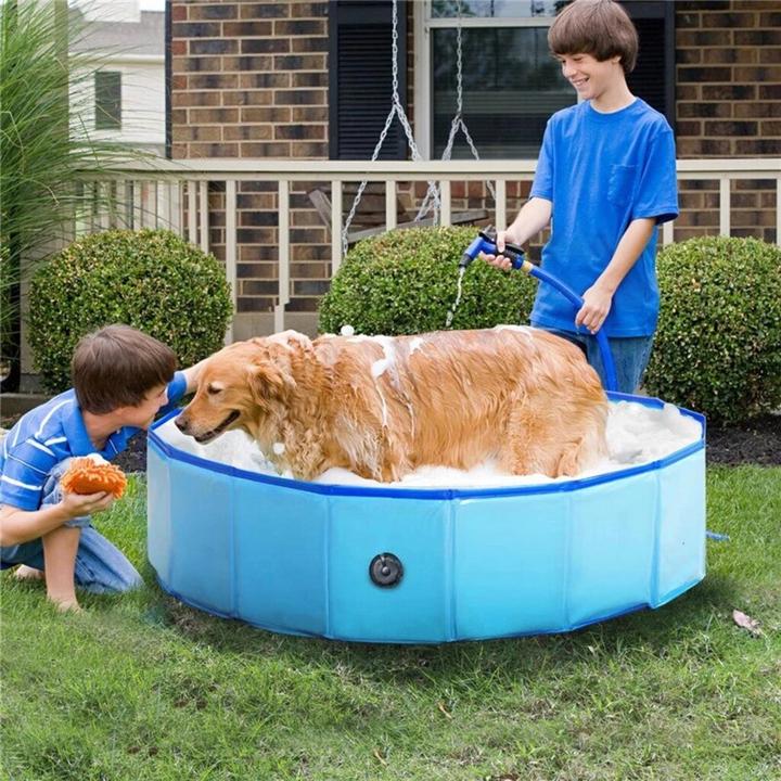 Produktbild Champ Grosser Hundepool (Hundepool)