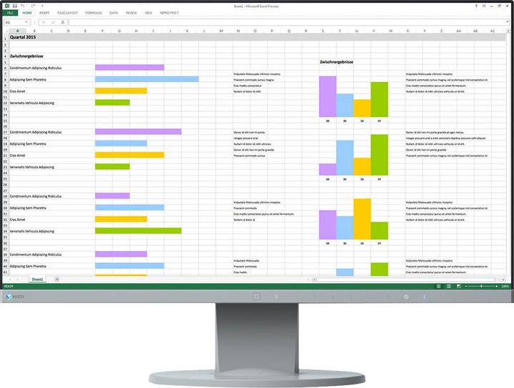 Immagine prodotto Eizo EV2450 FlexScan (1920 x 1080 pixel, 24")