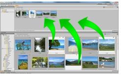 Produktbild ACDSee Foto Manager 12