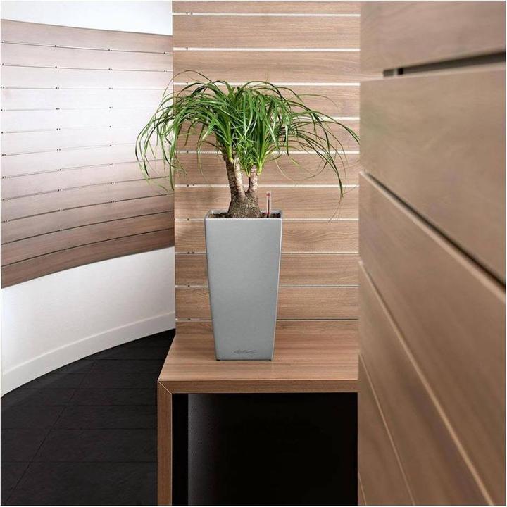 Actual product image Lechuza Ojo (21 cm)