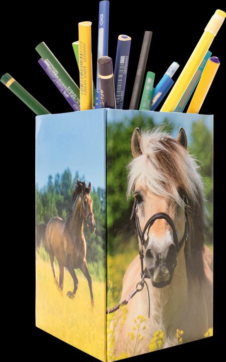 Actual product image Herma Pencil case