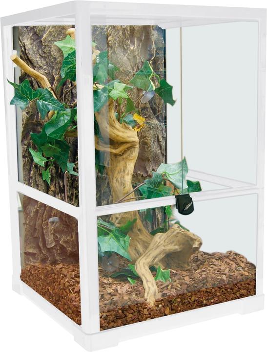 Actual product image Amazonas T4060