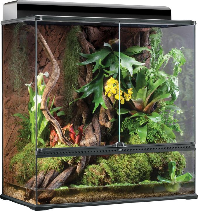 Actual product image Exo Terra Terrarium