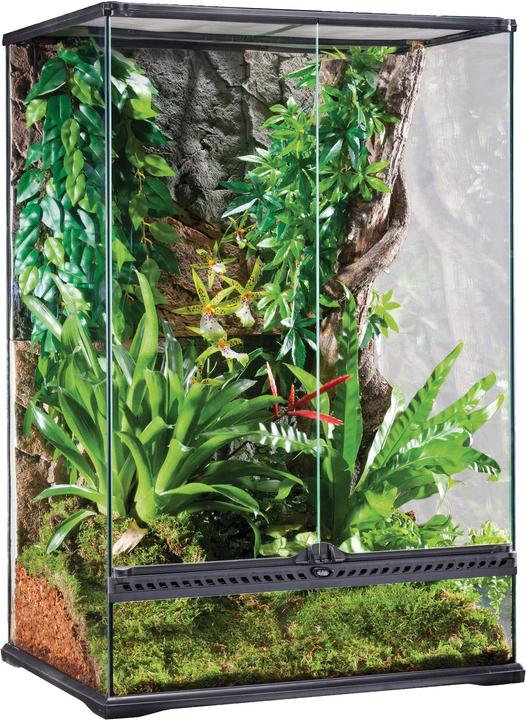 Exo Terra Terrarium en verre 60x45x90cm