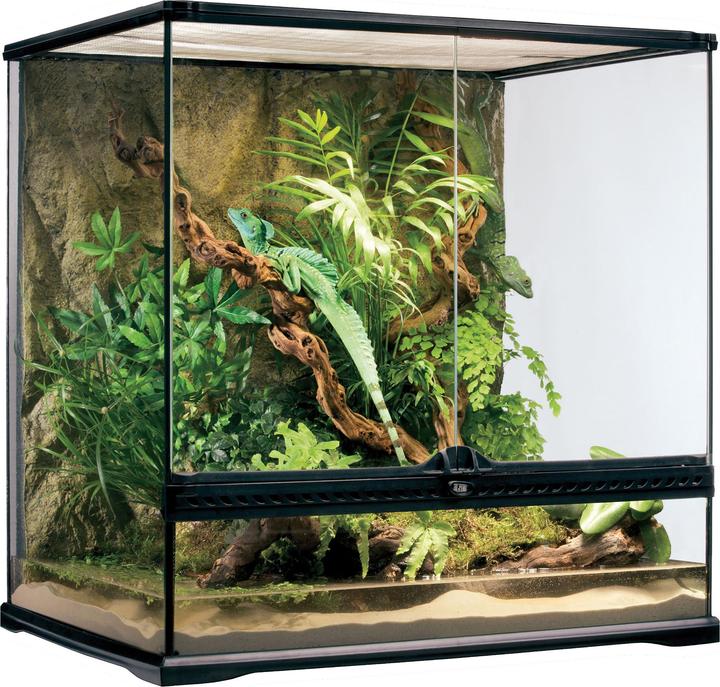 Produktbild Exo Terra Glasterrarium
