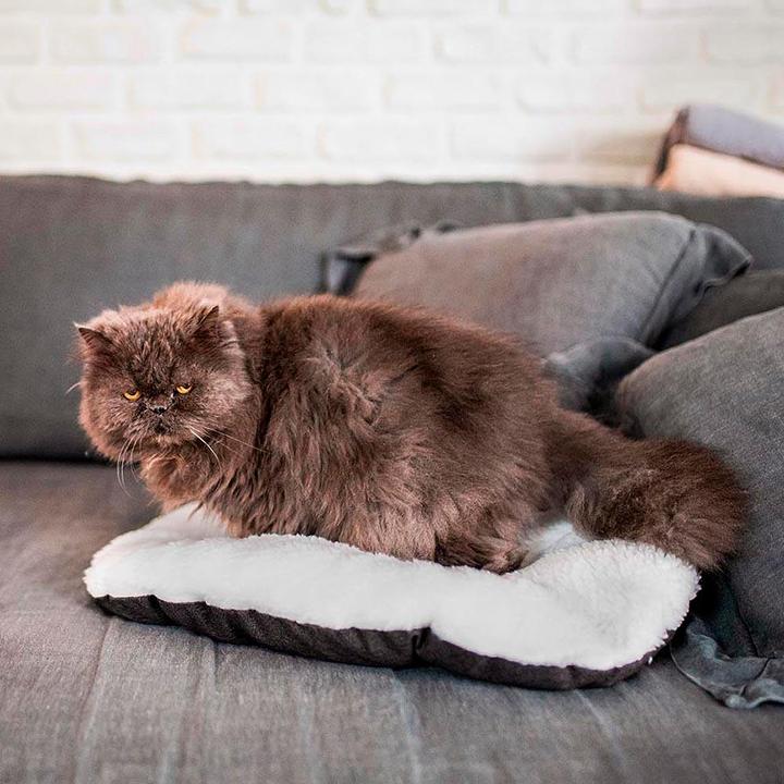 Immagine prodotto Ferplast Rilassati (Cane, Gatto)