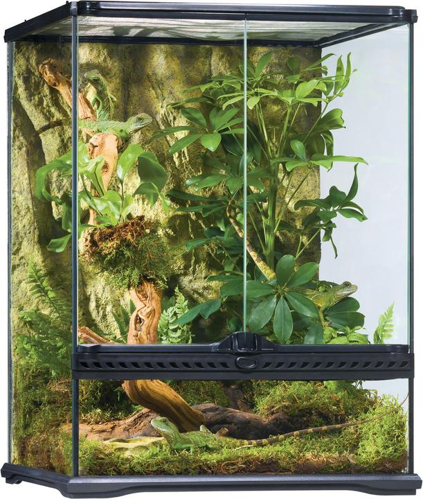 Actual product image Exo Terra natural small