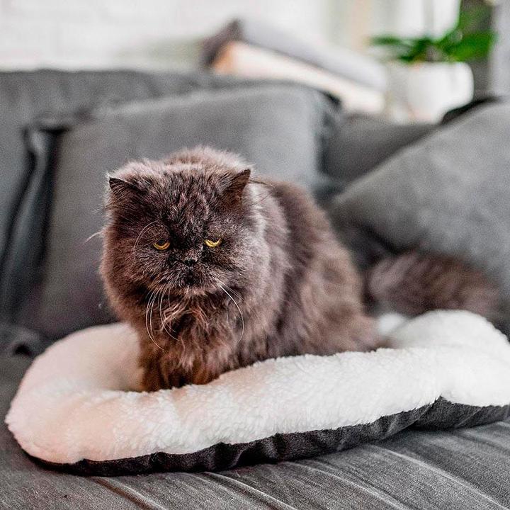 Immagine prodotto Ferplast Rilassati (Cane, Gatto)