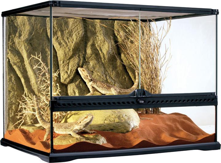 Actual product image Exo Terra Terrarium