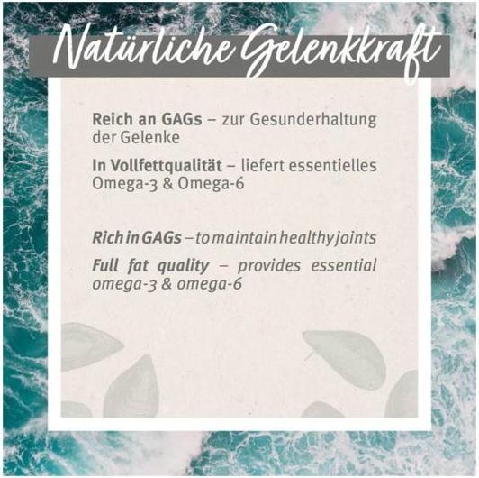 Produktbild AniForte Grünlippmuschel Kapseln (Adult, 1 Stk., 70 g)