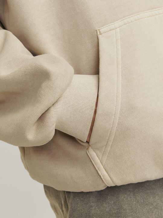 Image du produit Jack & Jones Sweat à capuche JORVERMONT (L)