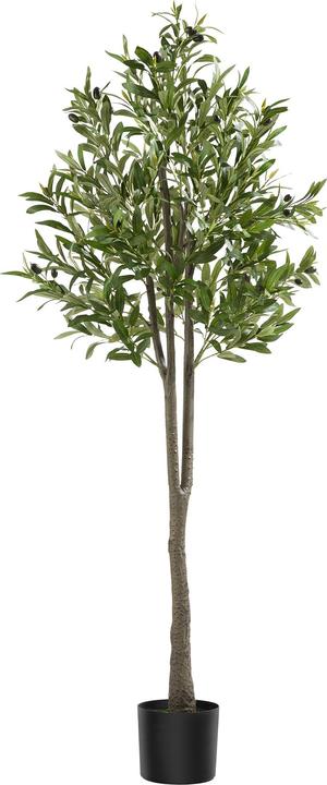 tectake Olivenbaum Oleand (150 cm)