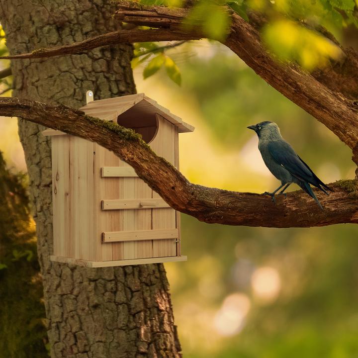 Actual product image Relaxdays Owl nesting box