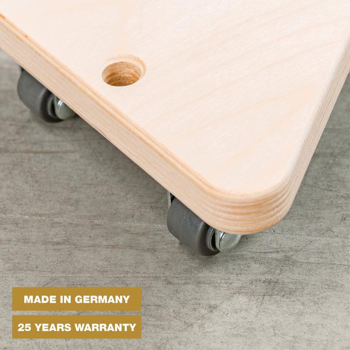 Produktbild Wagner System Transporthilfe (100 kg)