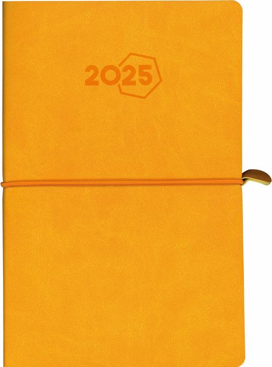 Actual product image Aurora Agenda Universe Tesoro 2025 3416 1W/2S ass. ML 14.5x21cm (A5, German)