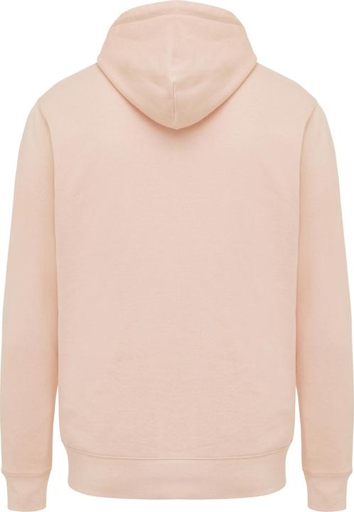 Actual product image Universal Textiles Unisex Adult Rila Recycled Cotton Lightweight Hoodie (XXL)