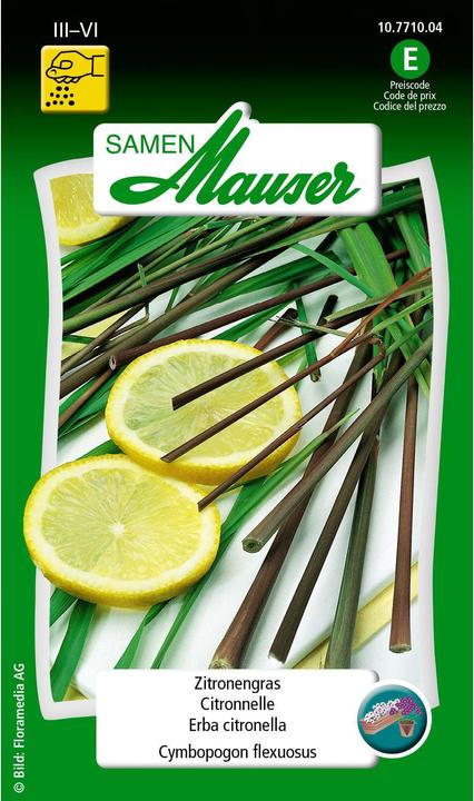 Immagine prodotto Samen Mauser Citronella (Semi di erbe)