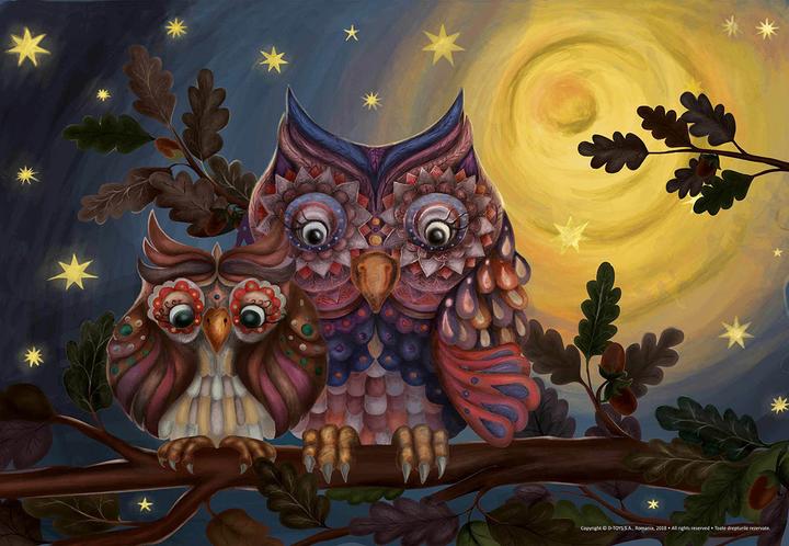 Actual product image DToys Puzzle 100 pieces 2 Owls (100 pieces)
