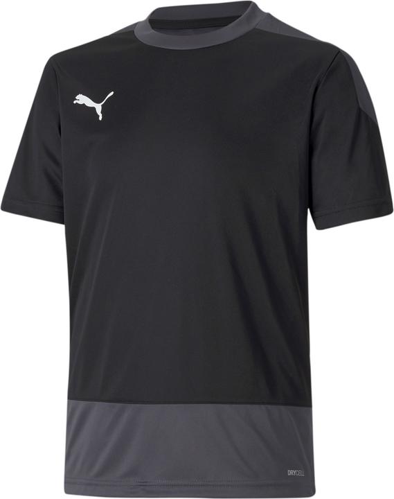 Actual product image Puma teamGOAL 23 TRG Jersey Jr-656569 (128)