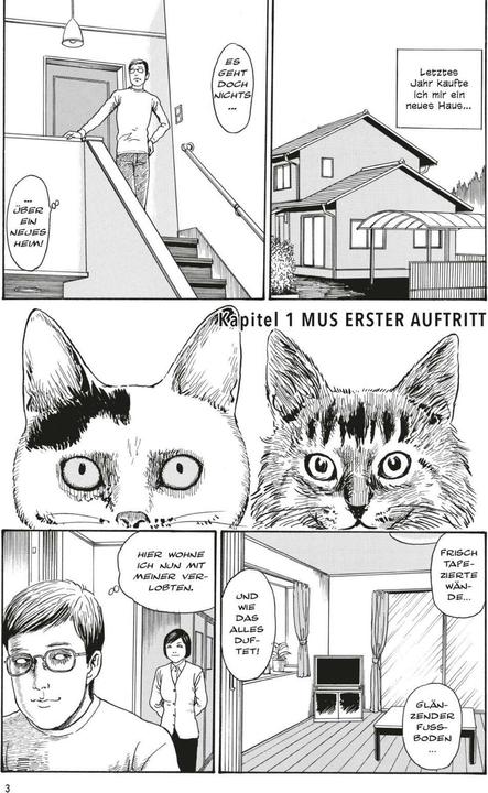 Actual product image Junji Itos Katzentagebuch (German, Junji Ito, 2025)