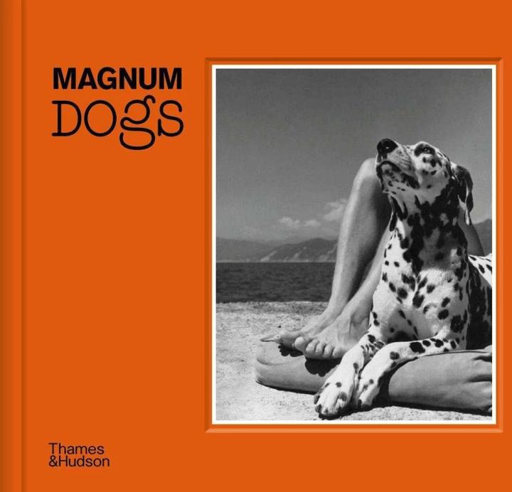Immagine prodotto Cani Magnum
