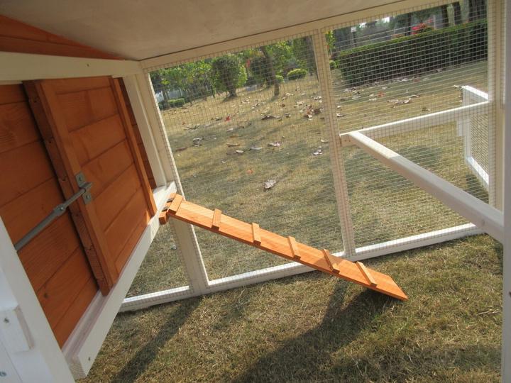Actual product image Pet Homes Kentucky
