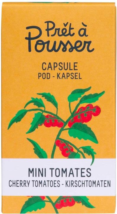 Prêt à Pousser Kirschtomaten (Gemüsesamen)