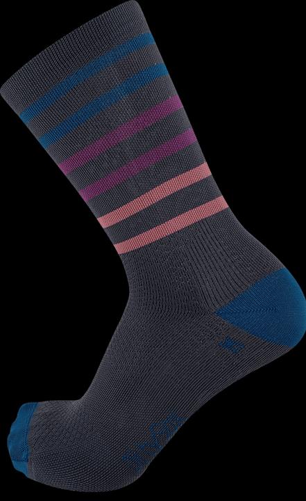 Dirtysox Premium - Pro - Summertime