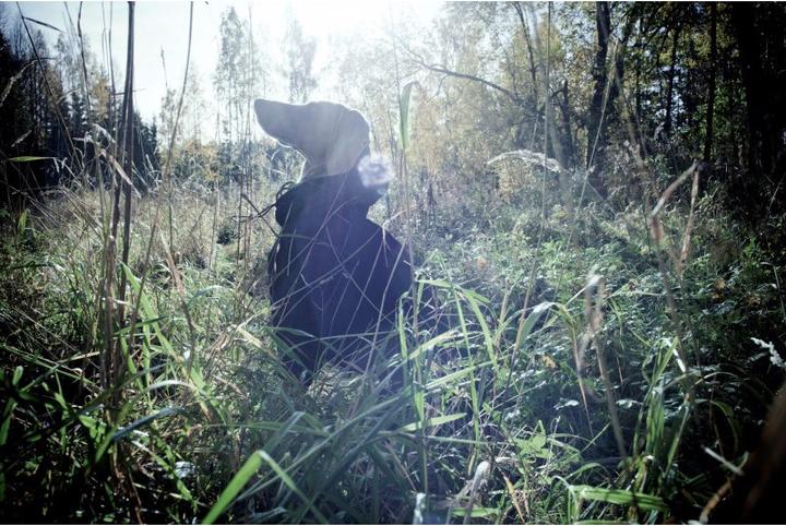 Produktbild Rukka Protect (35, Hundeoverall)