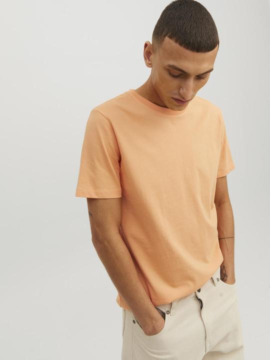Immagine prodotto Jack & Jones Organico (S)