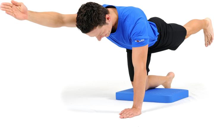 Actual product image Artzt Stability trainer