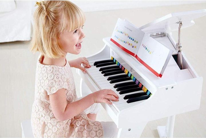 Actual product image Hape Luxury wings