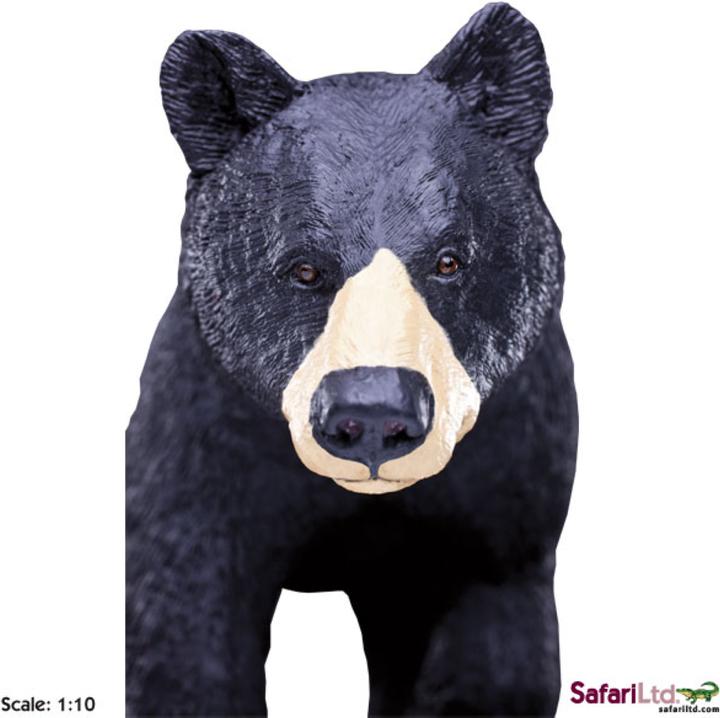 Image du produit Safari Wlw Ours noir