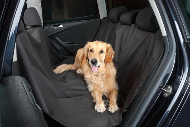 Produktbild Miocar Hundedecke (Hund)