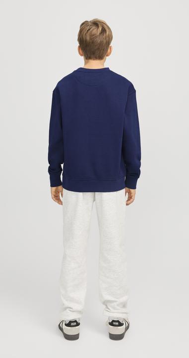 Immagine prodotto Jack & Jones Jorvesterbro Sweat Crew Neck Noos Jnr (140)