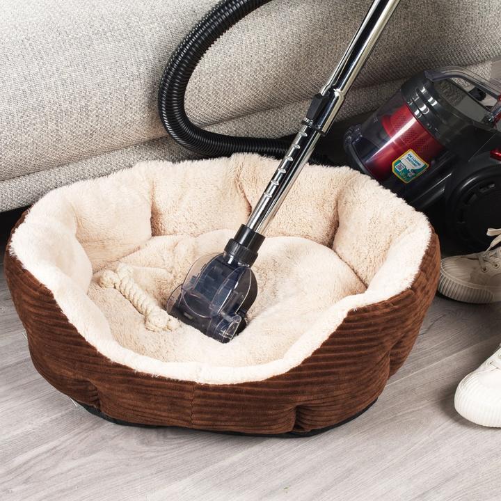 Produktbild Beldray BEL0700TBVDE Compact Pet Plus