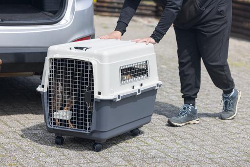 Actual product image Karlie Nomad transport box (Dog, Cat, Lockable)