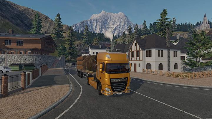 Produktbild Truck Driver (Switch, DE)