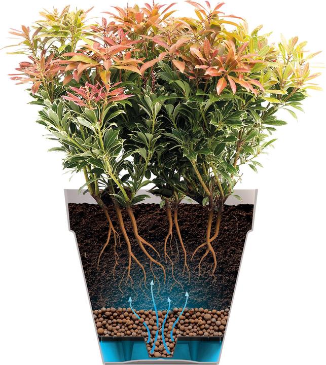 Immagine prodotto Elho Loft urbano (24 cm)